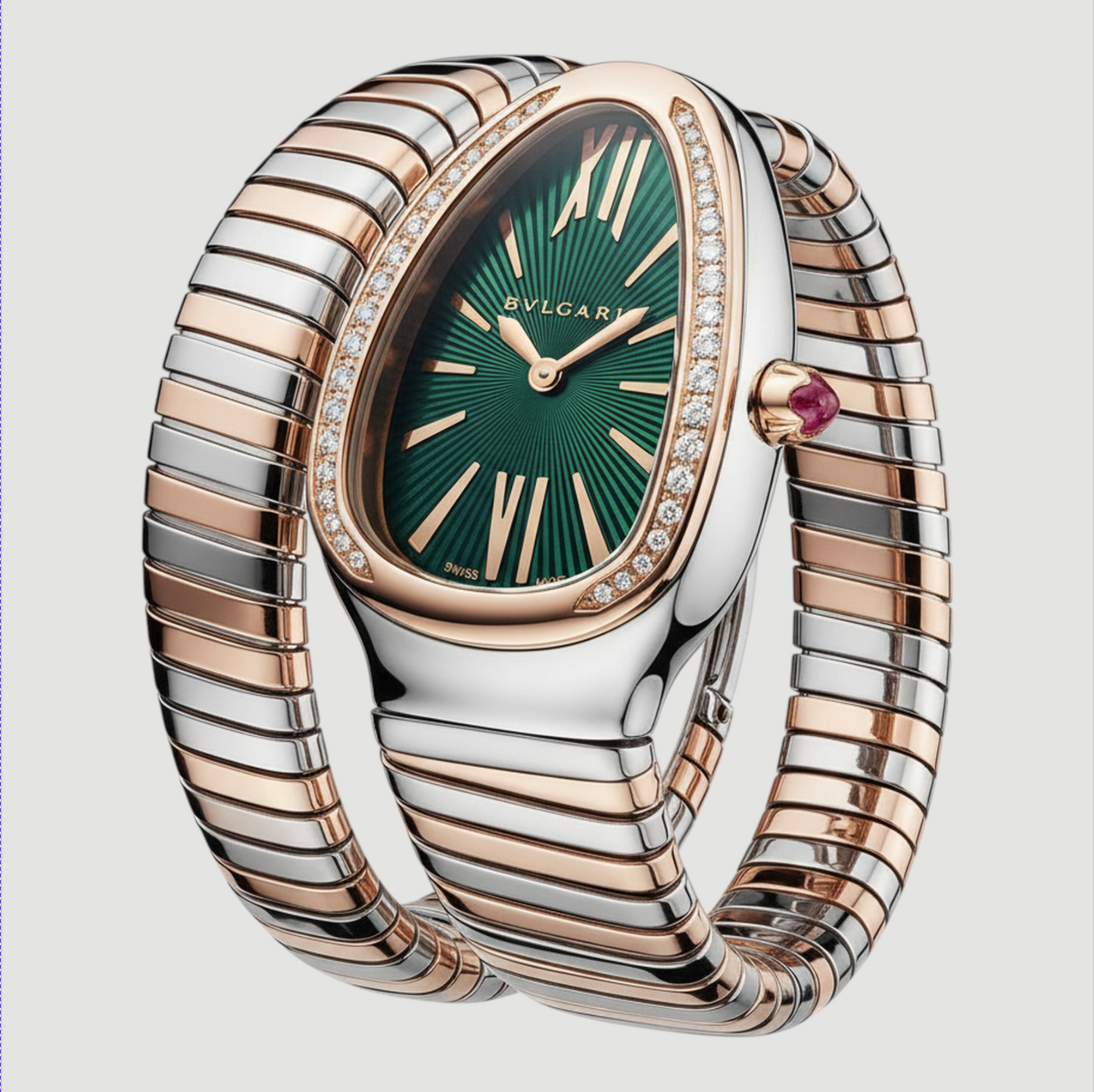 B V L. | Snake Watch