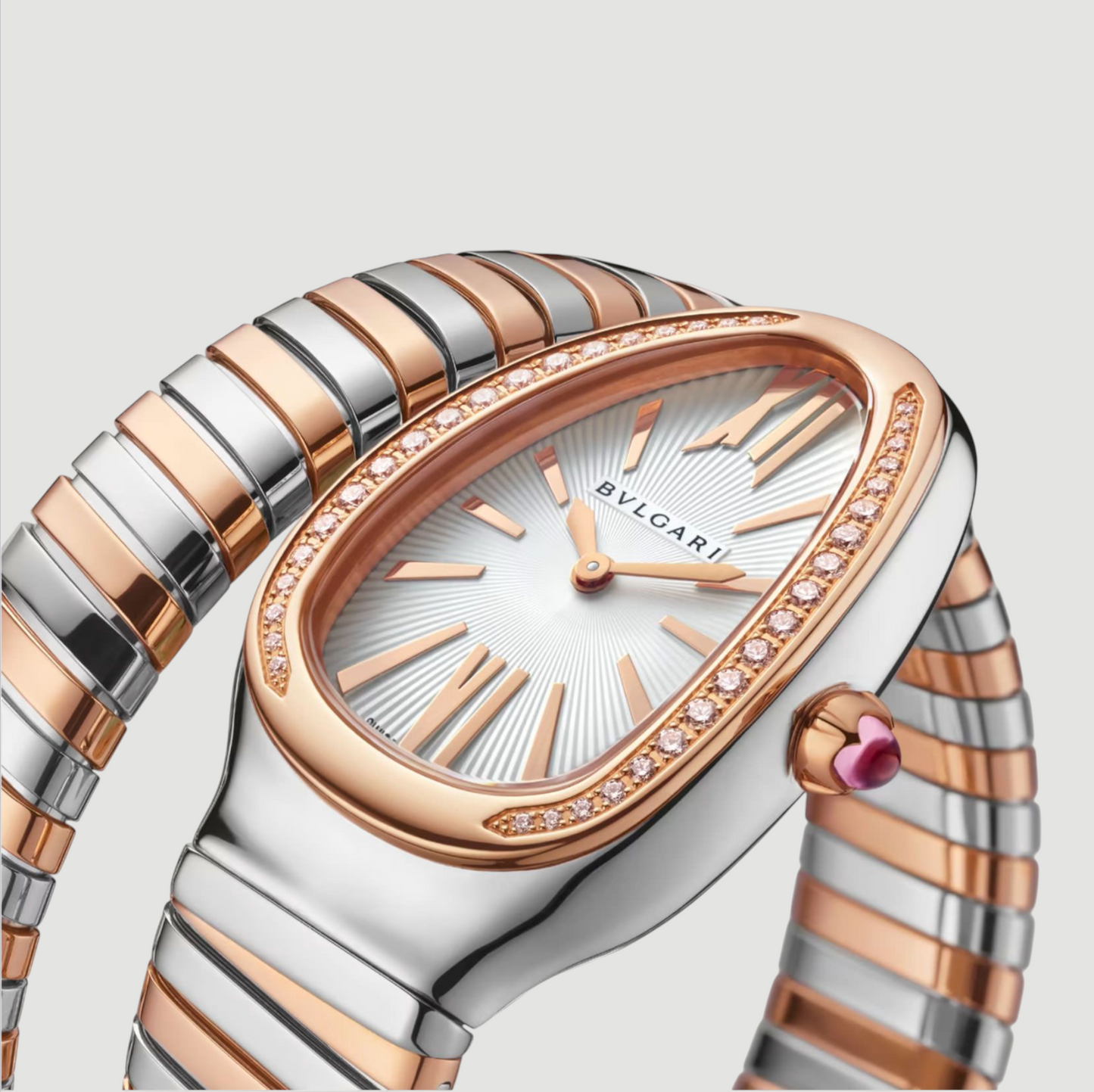 B V L. | Snake Watch