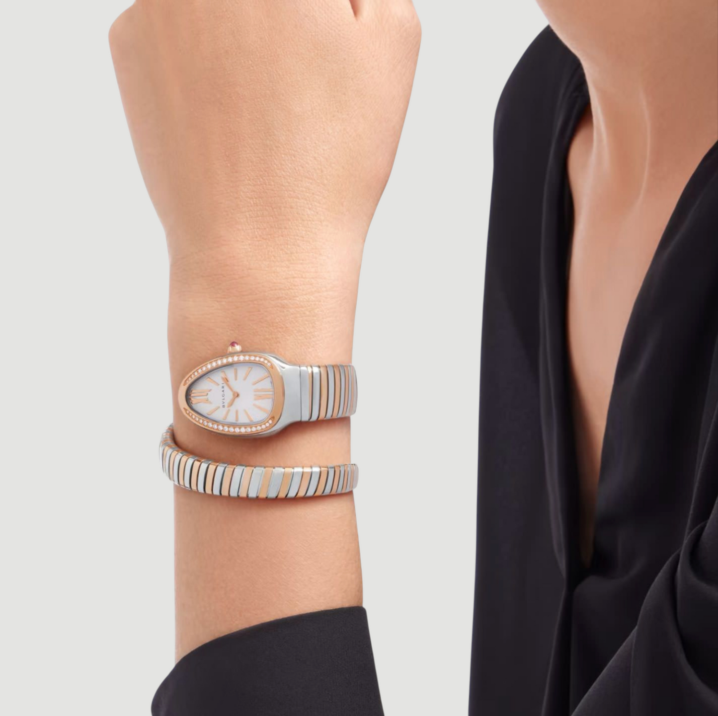 B V L. | Snake Watch